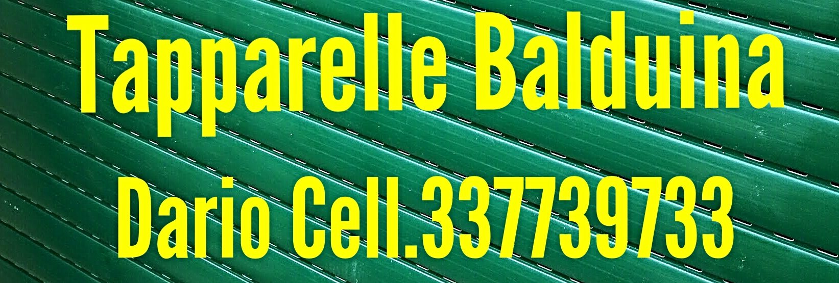 Riparazione serrande tapparelle elettriche Balduina cell 337739733 Dario Riparazione Serrande BALDUINA MEDAGLIE D’ORO Roma , efficiente sempre con il massimo della professionalità e serietà da parte nostra