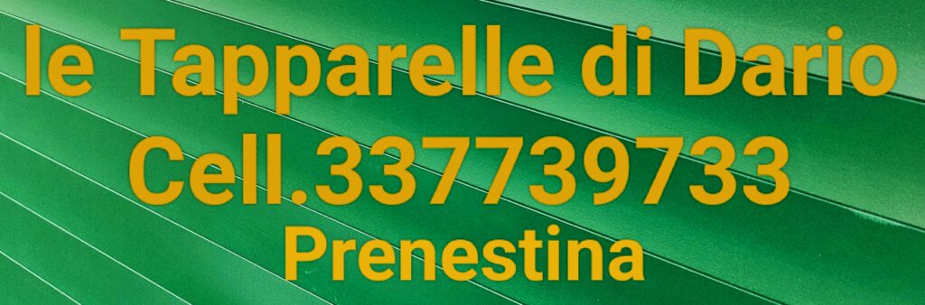Le tapparelle di Dario cell 337739733 Prenestina